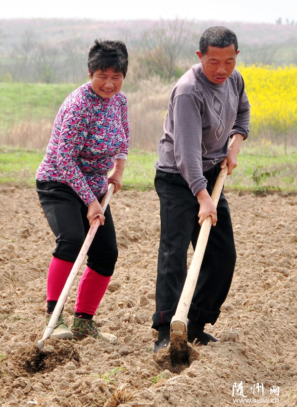 ������ɽ���������ũ������ֲ�ṹ��ȷ��ũ������