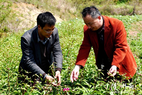 ���زݵ����������ξ��������չ�۹�ũҵ