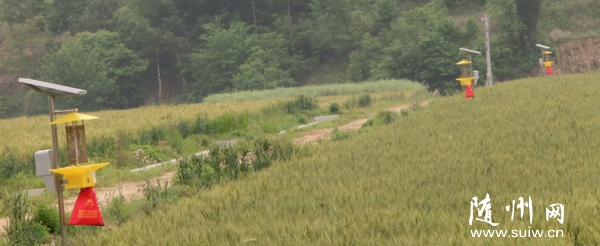 ũҵΪǿũﲡ溦أͶʹһȫԶƵʽ̫ɱ