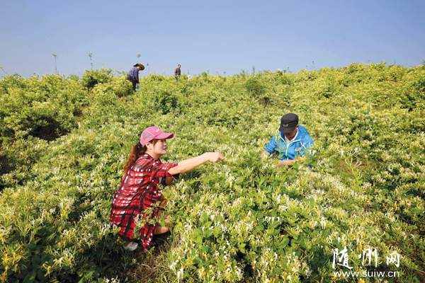 ����־Ը�߰�����̶������������ժ������