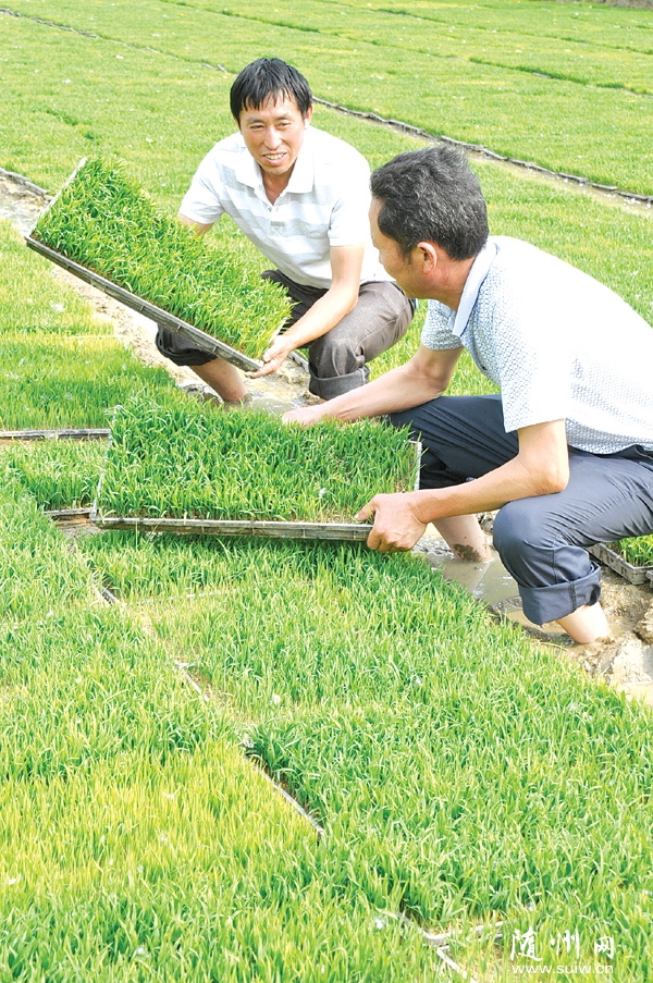 ������Ư�Ӵ����ũ�����ڹ۲�����������ˮ������