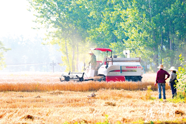 ���ؾ�����ǽԺ��ũ�������ո�С��