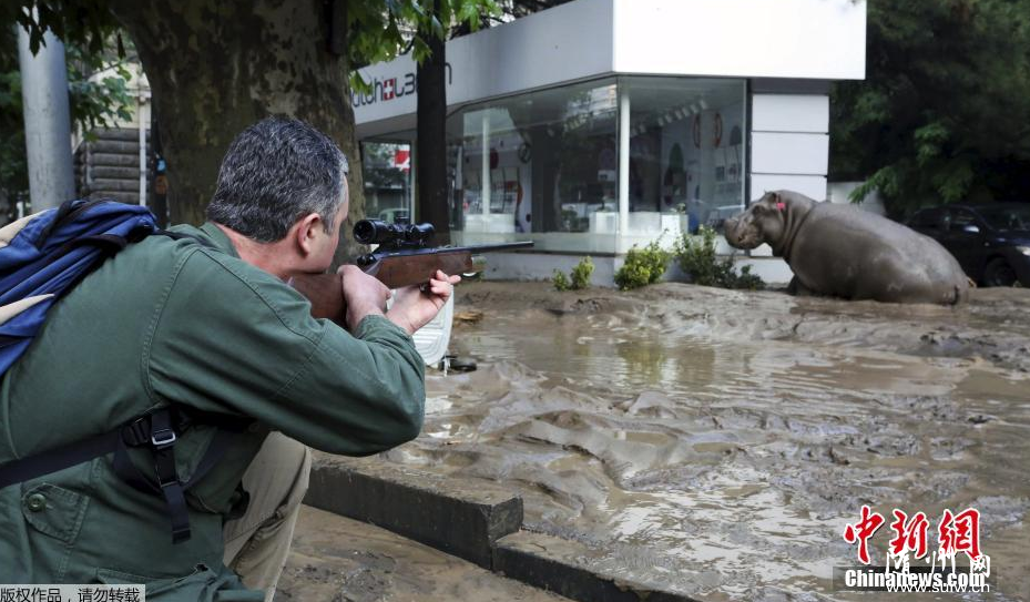 ��³���������Ϯ�� �������Ͻ�