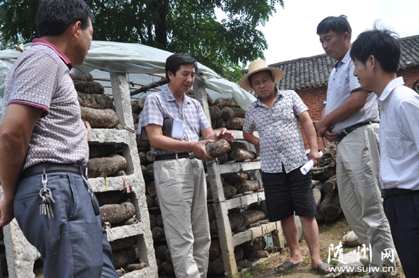 ���ؿƼ��ֻ�ͬ����ʳ�þ�Э�Ἴ����Ա�����㹽�ô������г����η���