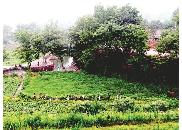广水绿珍康生态农业种植专业合作社组织社员到