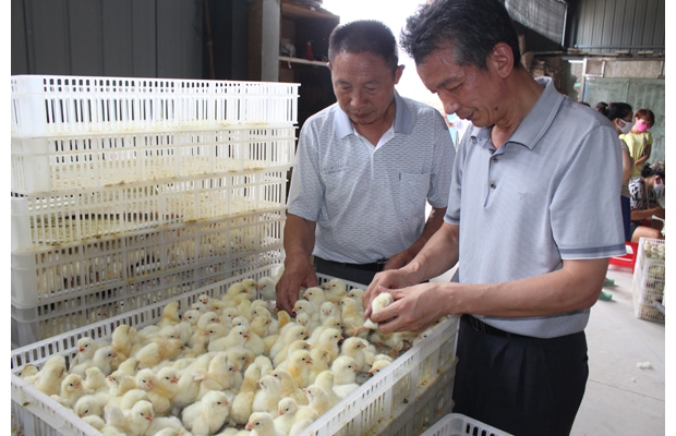 ʡũԺרָݵطƷ֡ɽ