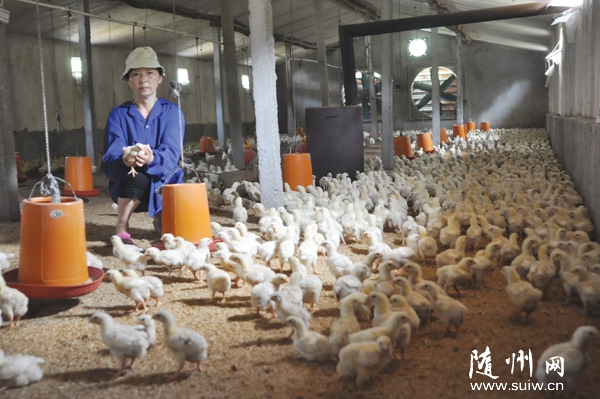 ���ɽ�ֳ���������������̬��Դ�����⼦������