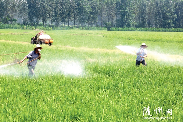 ������ũ������������֯ũ���ǿˮ���������