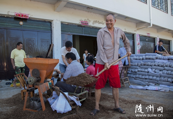 ������ׯ�Ĺ�ũ��׼�������㹽��ֲ