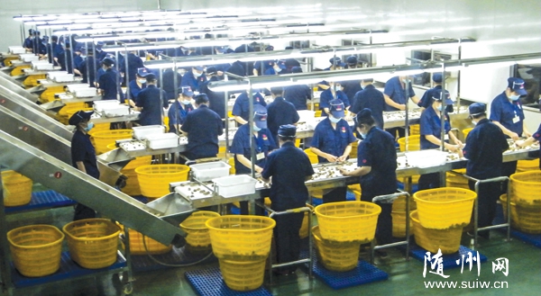 ����ԣ����ҵ԰�����ܱ�����200������Ů��