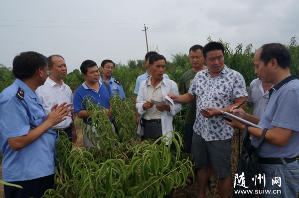 ��깤��������ʡũ��Ժר�ҵ�����Ϊ������ֲ������������