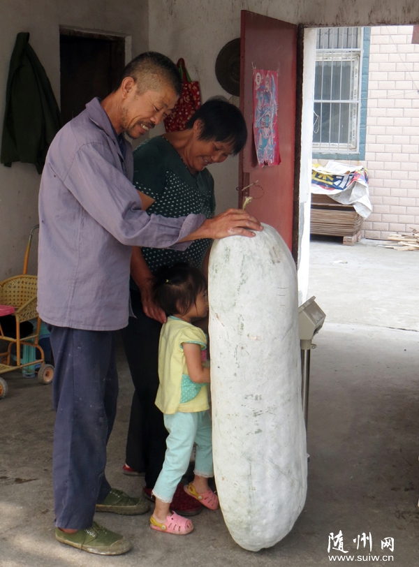 �������Ͻ�ũ�������ֲ�Ķ���ϲ�����