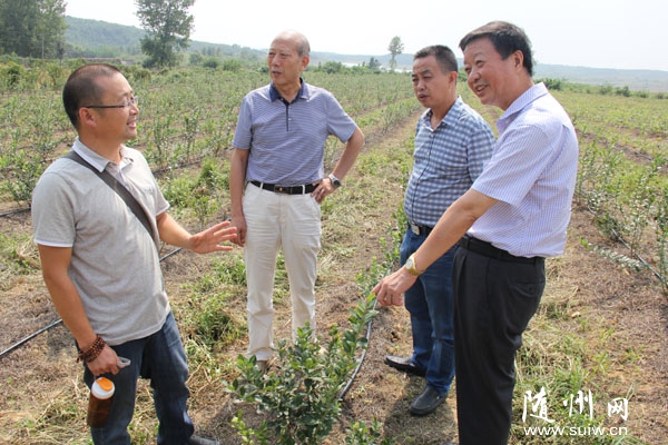 �������ϴٻ��쵼�������򸣵�����ݮ�������