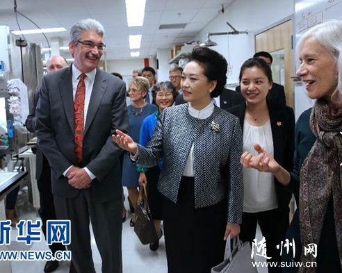 �����²ι���������¡�����ɭ�о�����