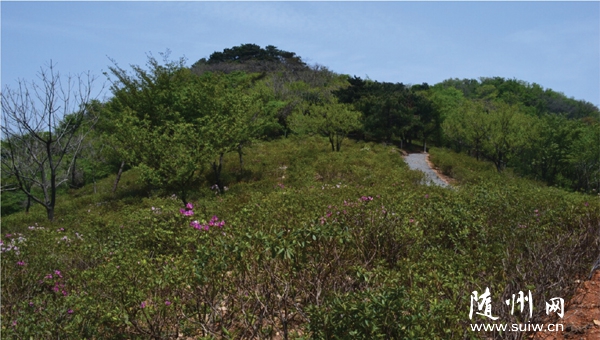 ����˫�յĲ����ˡ��������й��д��ɽ�ֳ�����䲥����ɫ���¼�