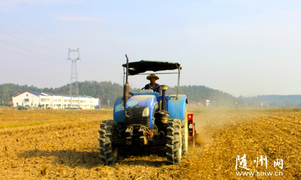 �������ε�����������С����������ʡ�ҩ��һ��ĸ�Ч��ֲ��ʽ