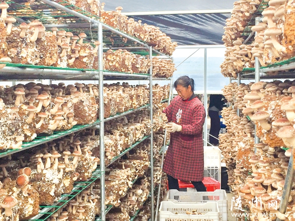 �����׵ۿƼ���˾�½�����ʮ�������¿ش���