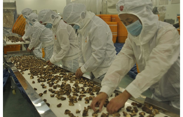 ����ԣ����ҵ���޹�˾���ػ���ʵ���޾�����