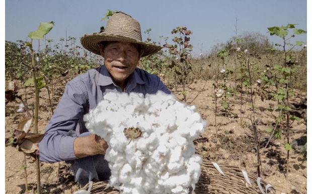 ����ʱ��ϲ����