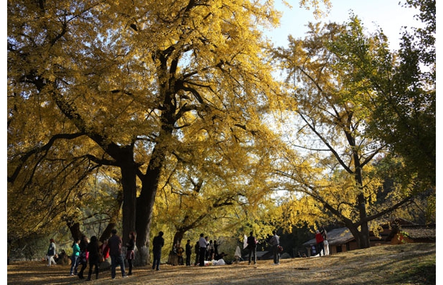 ��ɫ���磨�������ӹȣ�������� �㡤