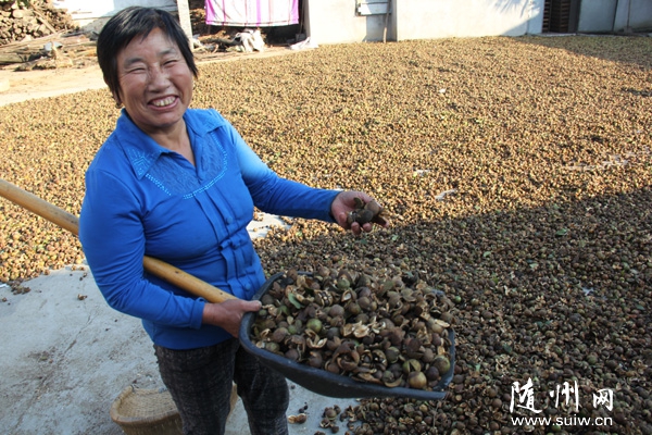 ���ػ�̶�������������չ�Ͳ�