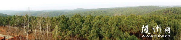 ʮ�꾫�ܻ� ���±��ֺ���������������ɽ���¡���Ӫ��ܡ�ģʽ̽��