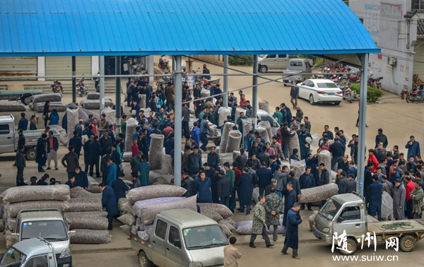 ����½�����У���������������´���㹽�����г��𽥷�æ