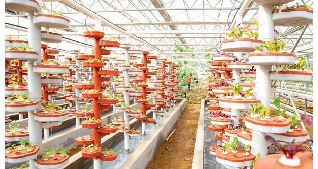 ����ũҵ������ＯԼ���������أ��ﶥ����