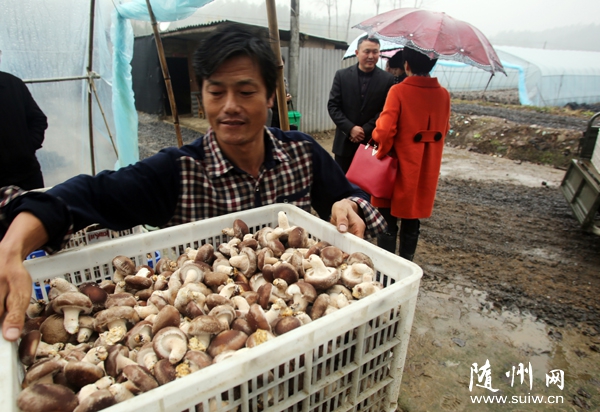 �����������������֯ũ����¸�����ֲ��ֳ��Ŀ