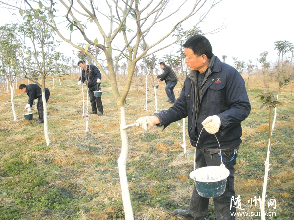 �����Ƽ������׵۴��