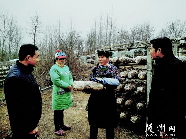 �����п�Э������ũ����㹽��ֲ�����������ļ�������