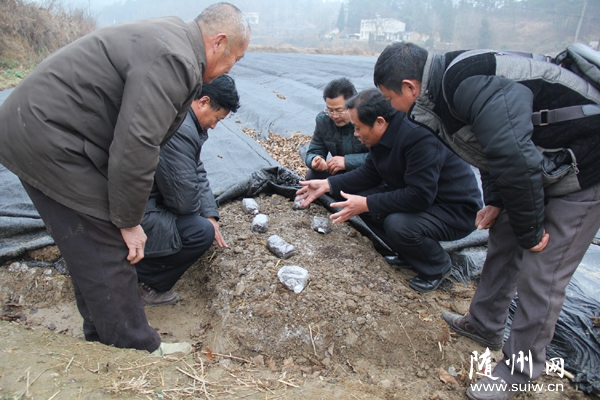 ��������Э������ָ����ũ������Ǿ��Ķ�������