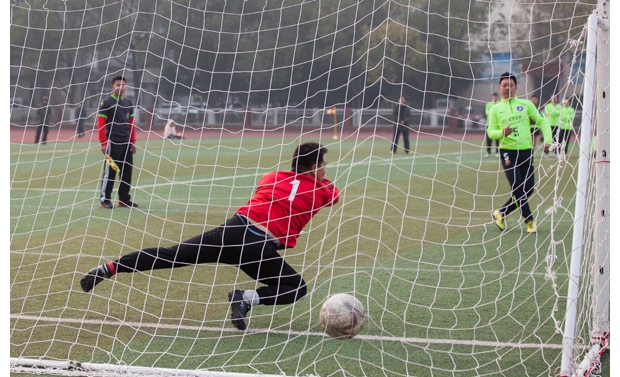 ������Э�׽���걭�����Ļ