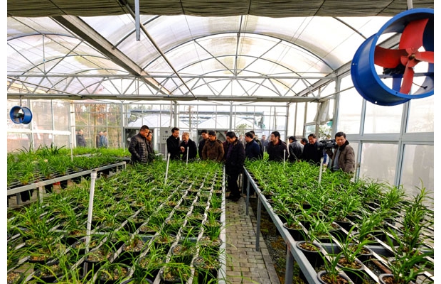 ������������ֲ���ؽ�����ȫ����ģ���Ʒ����ȫ����ʩ���Ƚ���ޥ������