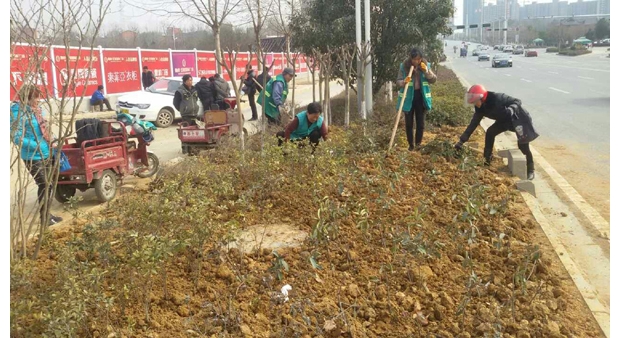 ������԰�ֲ��Ź��˲�ֲ��·�̻�����ȱ����ľ