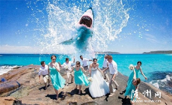 �ĸ�ֻ����ճ�¯��������뾳�����±߽���(ͼ)