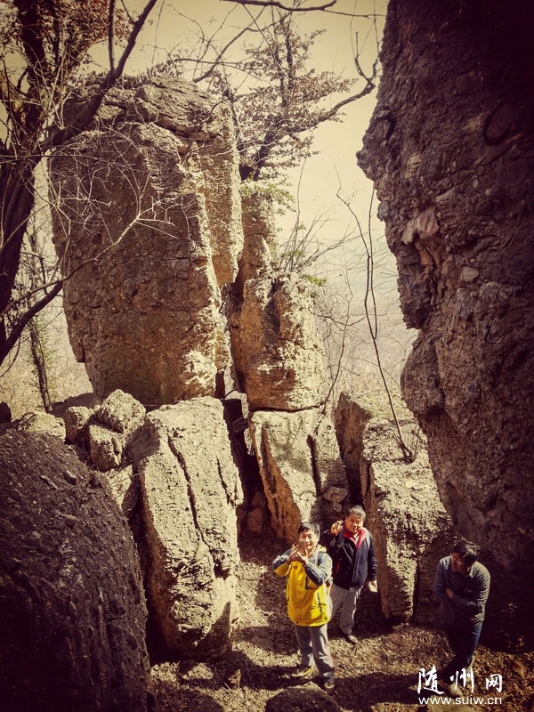 �����´�ţ�Ǽ�ɽ��ʯ�ֹ�ʯ���