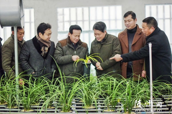 �������������ޥ��֮�磬��չ��������