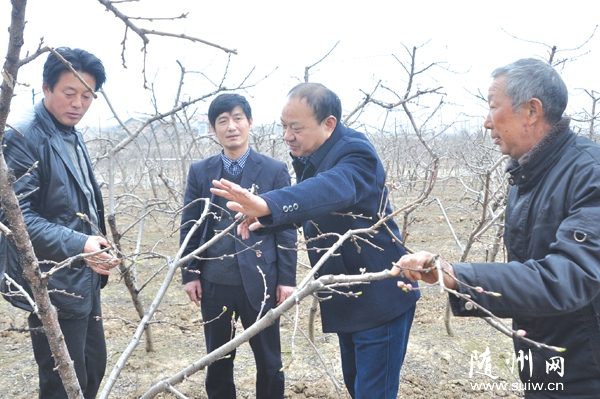 ���ؿƼ��������ľ��ֲ������ԱΪũ�����ʵ�ü���ר�⽲��