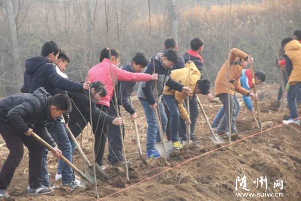 ��������ѧУ��֯ʦ�����������ռҴ忪չֲ���