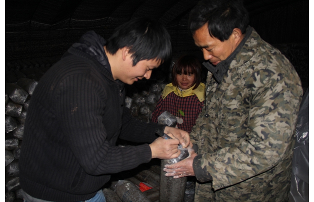 �������������ɽ���ֳ���Ϊ����ũҵ��ѧ����ʵ�����