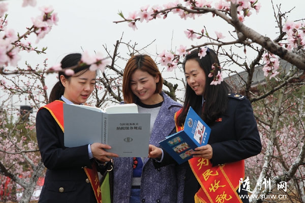 ���ص�˰����֯��˰�ɲ������������������ο�����˰������