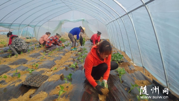 ��ɽ��ũ׳�߲�רҵ�������½���100���߱�׼�����Ҵ���