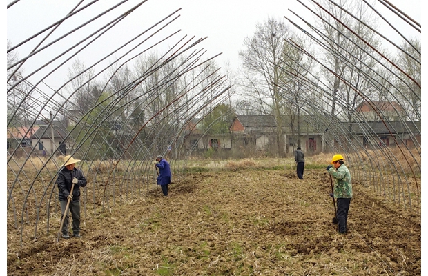 ����ʱ������æ