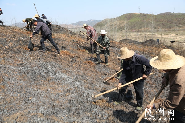 �����������������֯������ɽֲ��