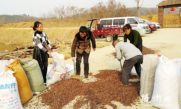 ɽֳõطḻɽԴչͲҵ