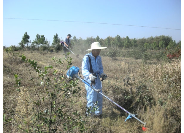 ����������̬ũҵ�Ƽ����޹�˾���ߡ������磫ũ�������أ���ͷ��ҵ���ķ�չ֮·