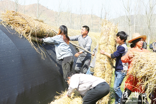 �����������������������Է濪չʳ�þ���ֲ�������ڹ�ͬ�¸�