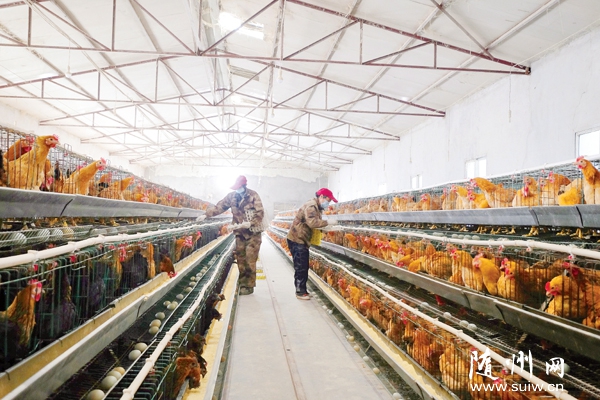 ����������ũ�����޹�˾�������ݱ���������Դ�����ᴿ����