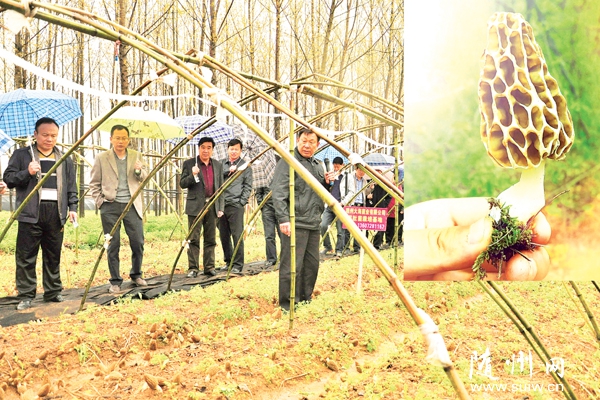 ���سɹ��з���Ǿ�����Ʒ��